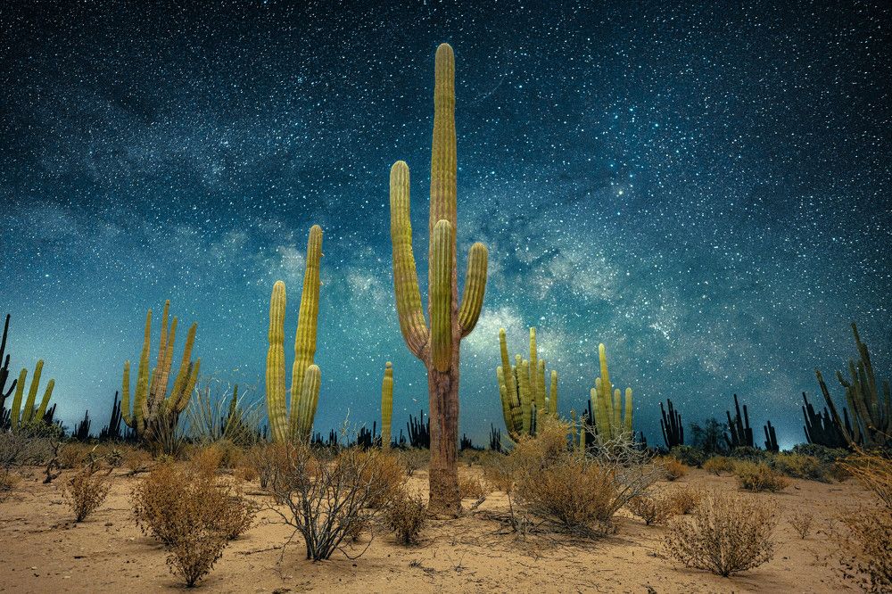 Photograph by Josue Marquez