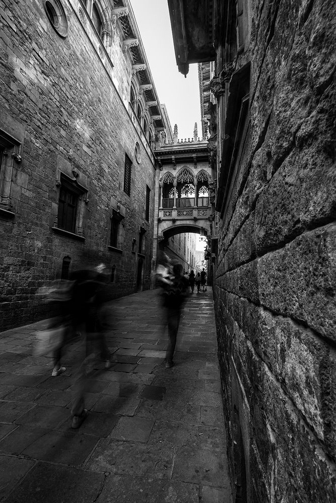 Photograph by Pouyan Safavi