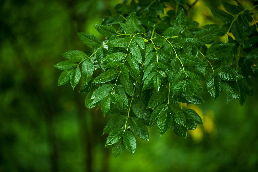 Photograph by Татьяна