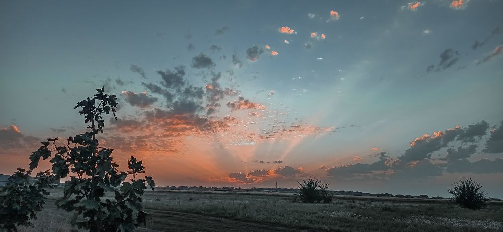 Photograph by Kati Oili