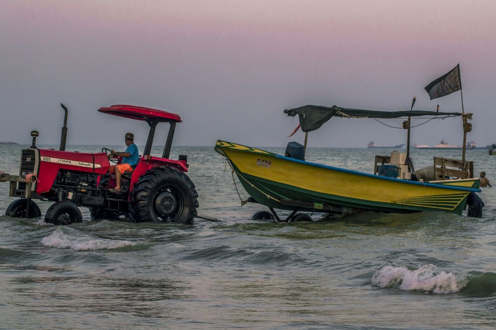 Фотография автора Abbas Ahmadi