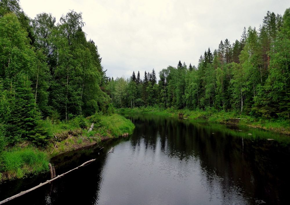 Photograph by Pjotr Alekseev