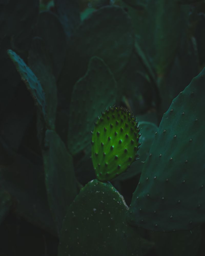 Photograph by Alexandra Sergeeva