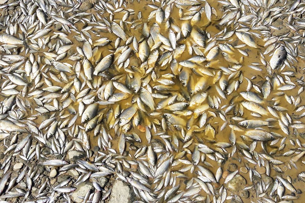 Photograph by mehdi karimi souderjani