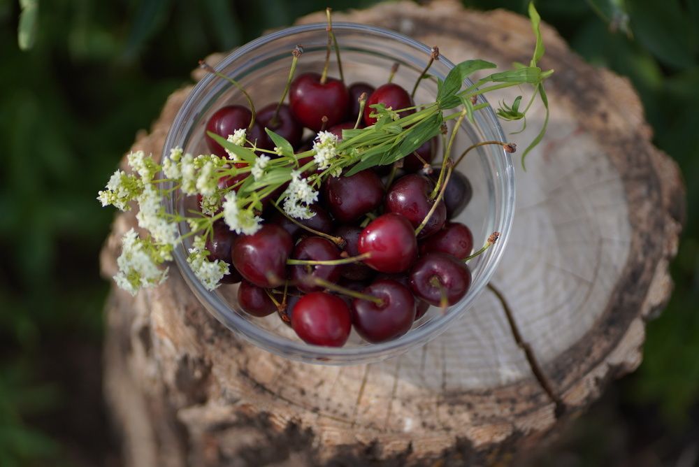 Photograph by Алиса Бочарова