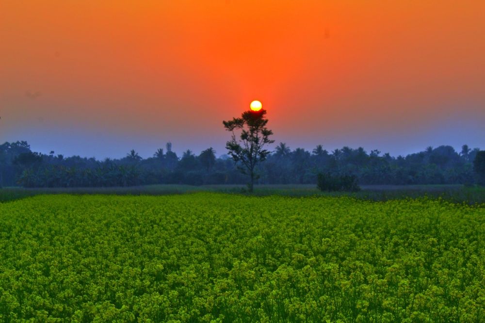 Indian flag is in the nature's colour
