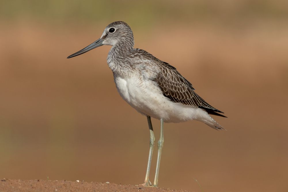 Photograph by Павел Краснослободцев