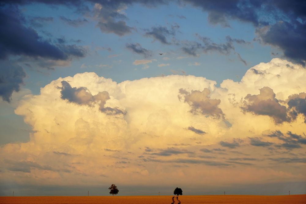 Янтарные просторы