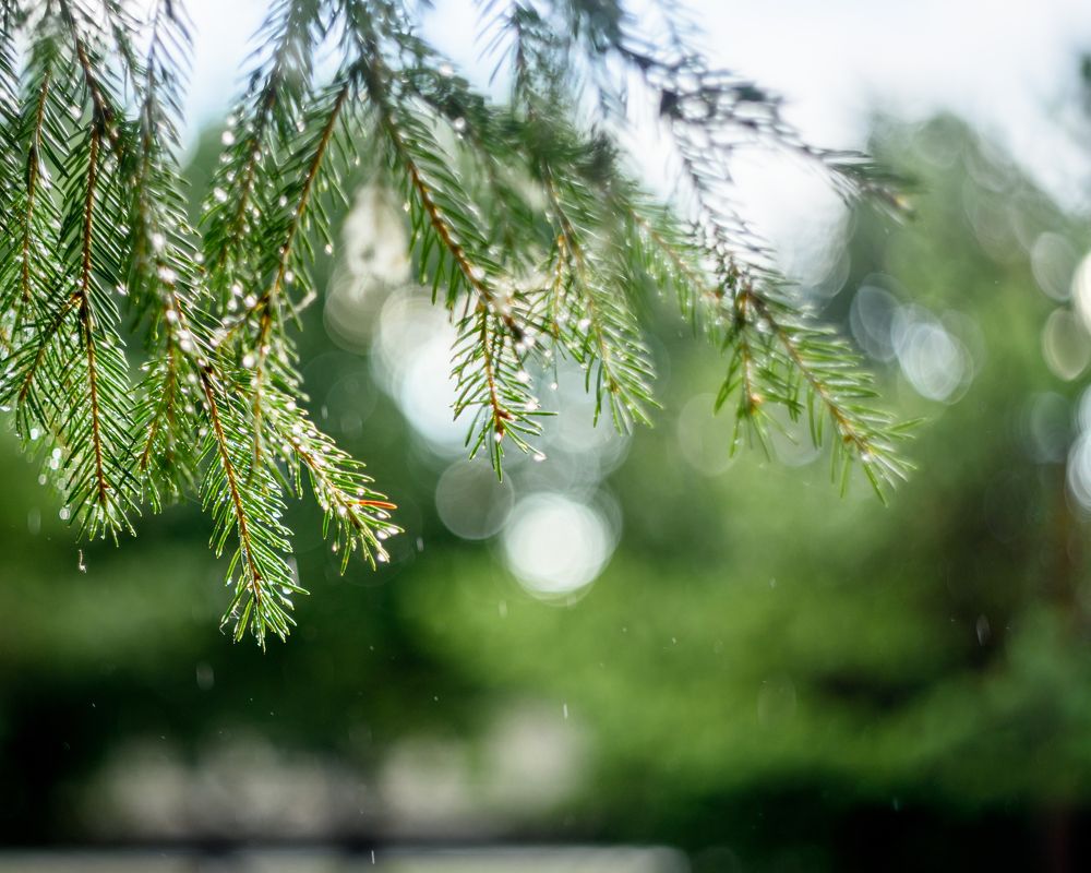 Фотография автора Владимир Зубков