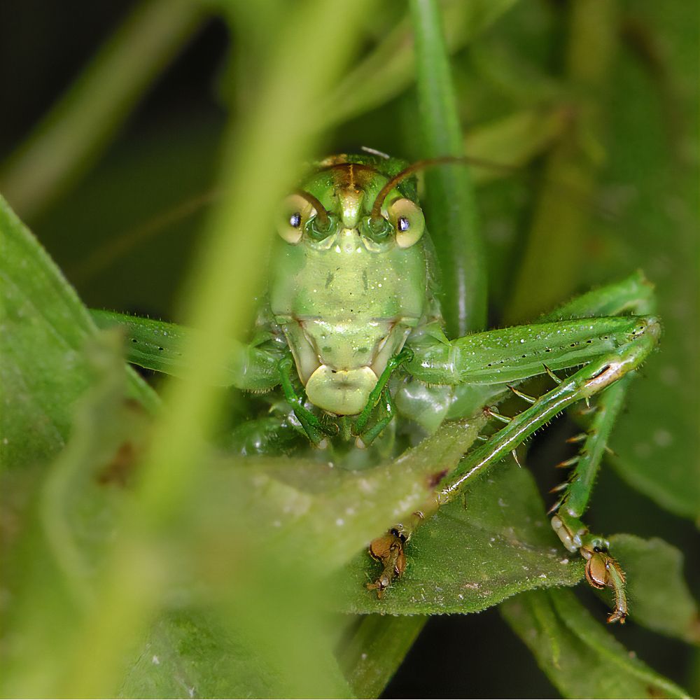 Фотография автора Владимир Зубков