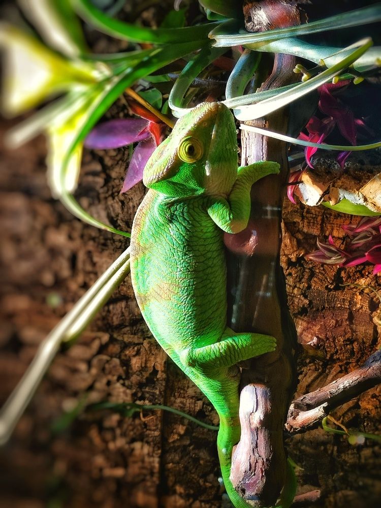 Photograph by Дайана