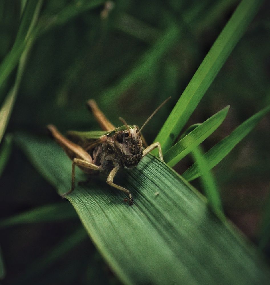 Photograph by Дайана