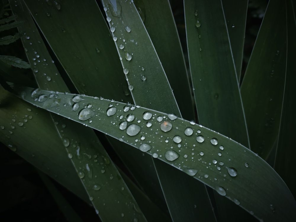 Photograph by Ирина Половцева