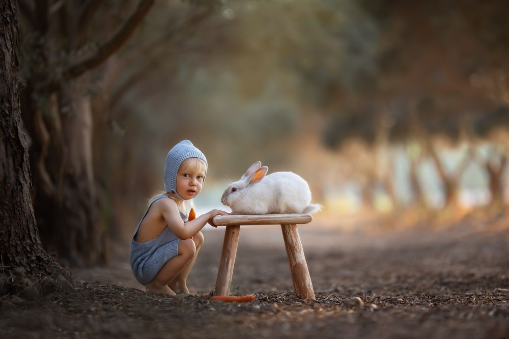 Photograph by Rotem Katz