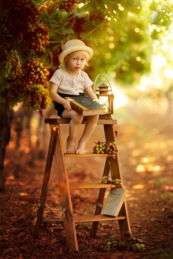 Photograph by Rotem Katz