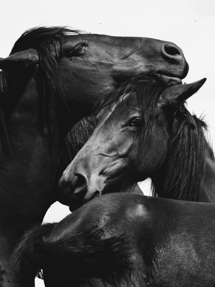 Photograph by Giuseppe Catalano