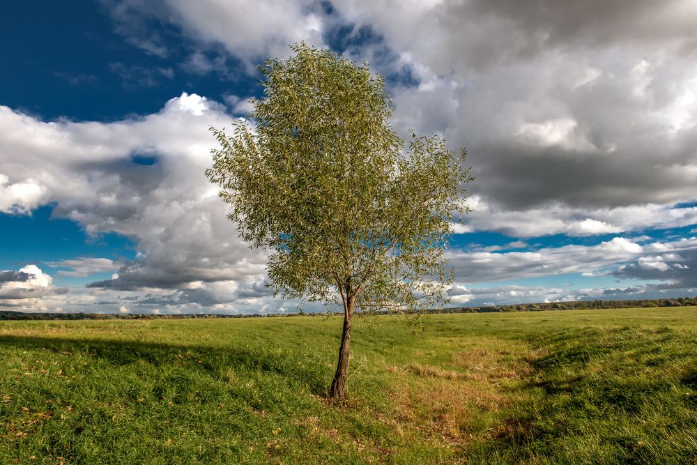 Photograph by Igor Bastrygin