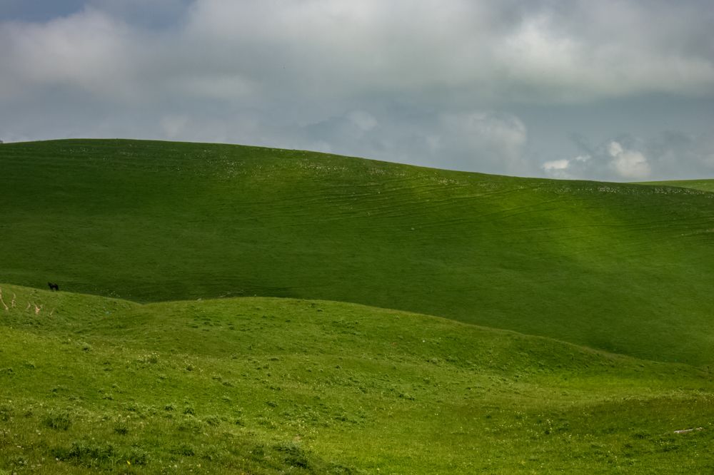 Photograph by Vladimir Rybalko