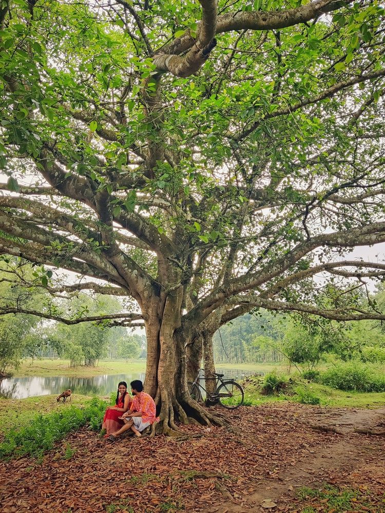 Love story of a village