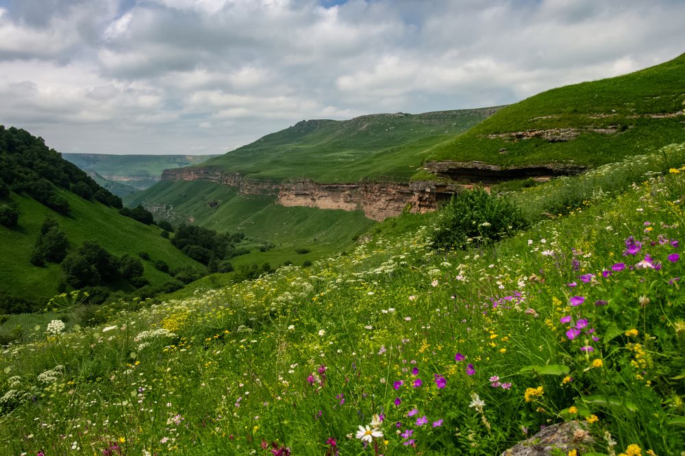 Photograph by Vladimir Rybalko