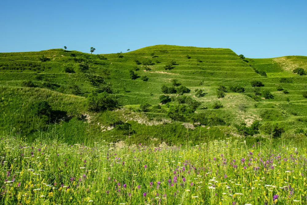 Photograph by Vladimir Rybalko