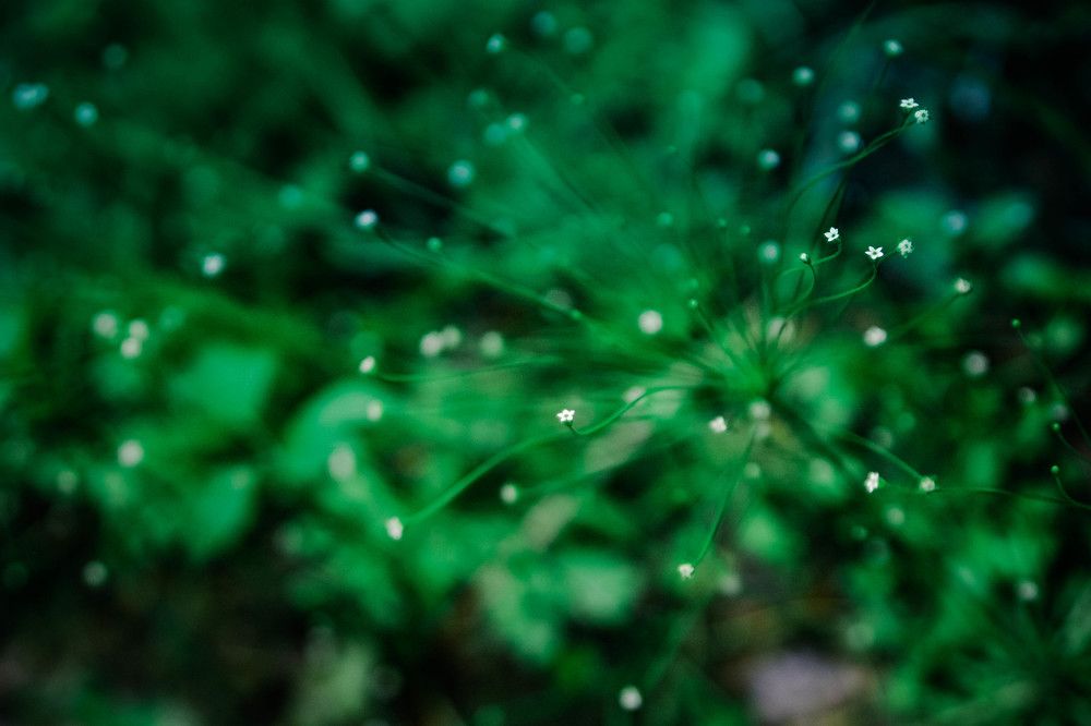 Photograph by Consuelo Sand