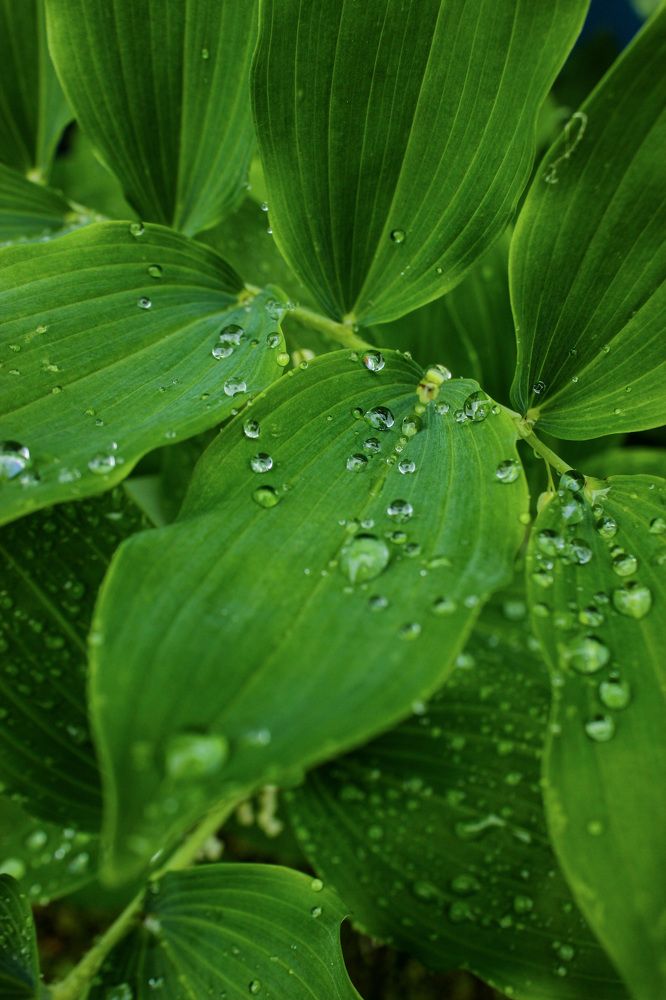 Photograph by Витольда Осина