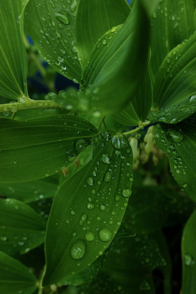 Photograph by Витольда Осина