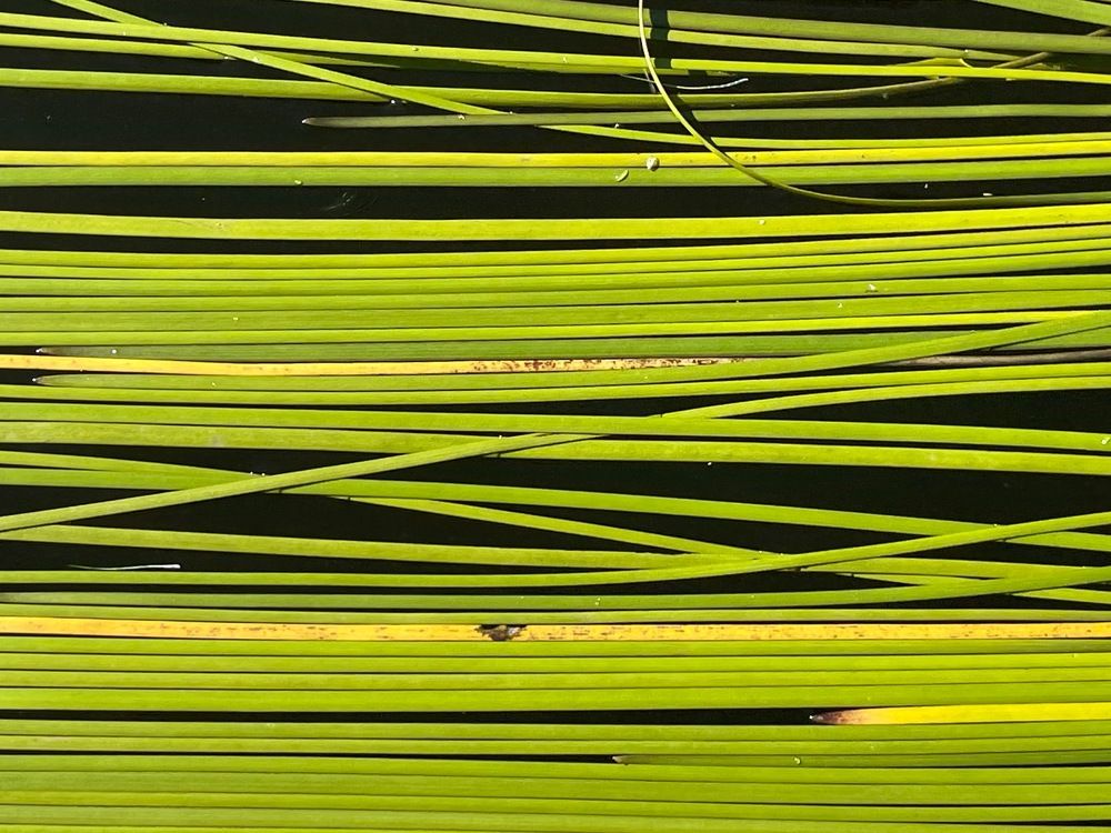 Photograph by Evgenia Barinova