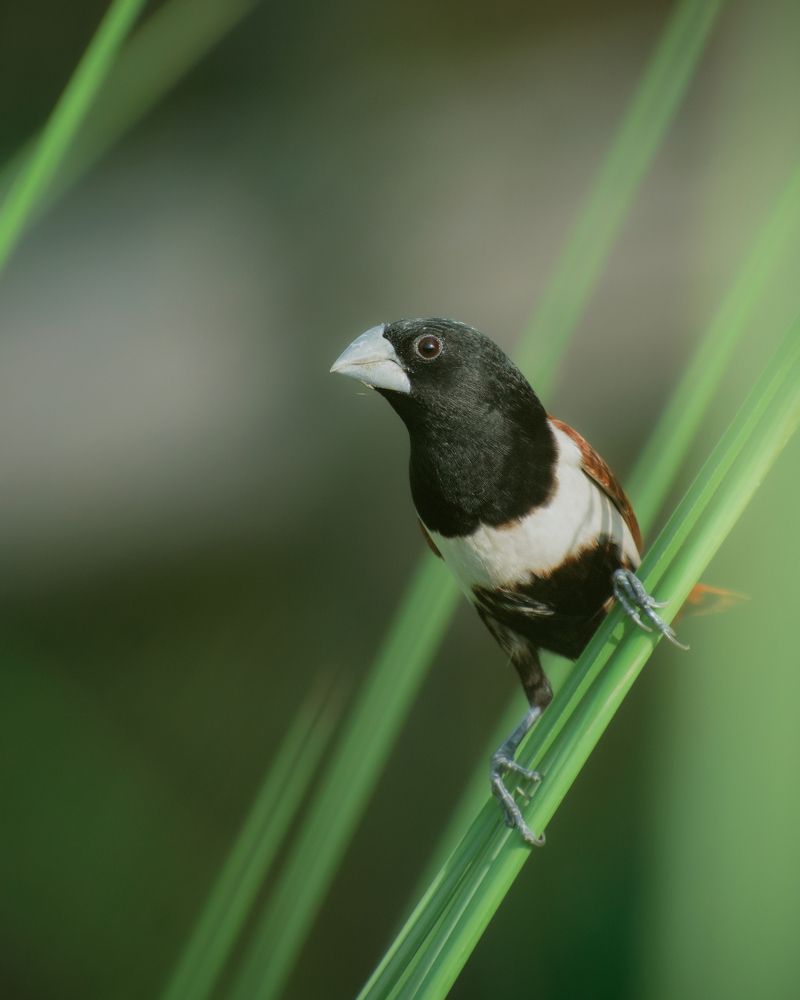 An Evening With Lots of Memories