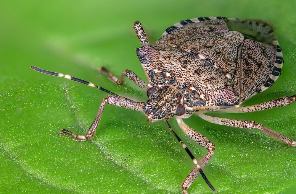 Photograph by Dragan Cerovic