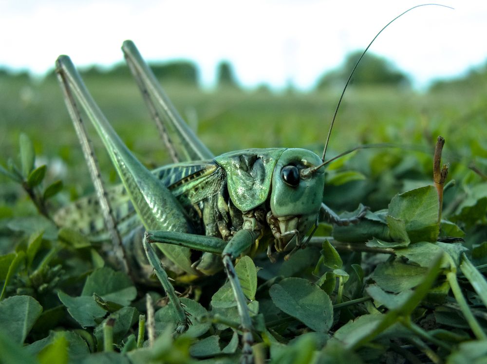 Photograph by Виктор Карпухин