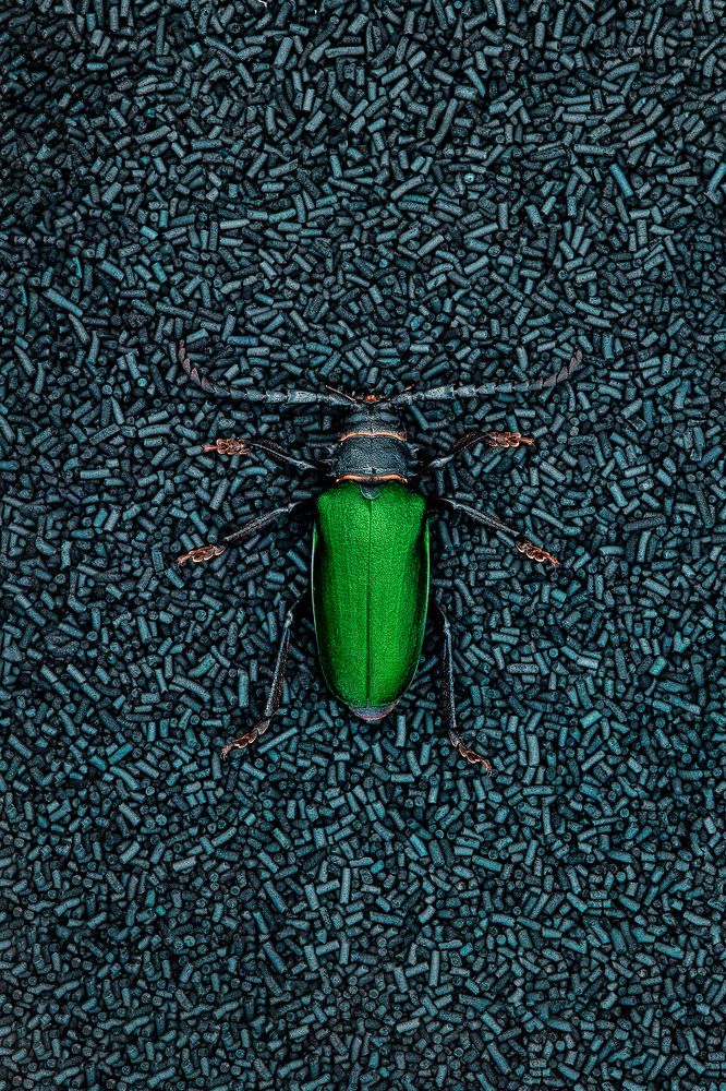 Photograph by Дубяга Сергей