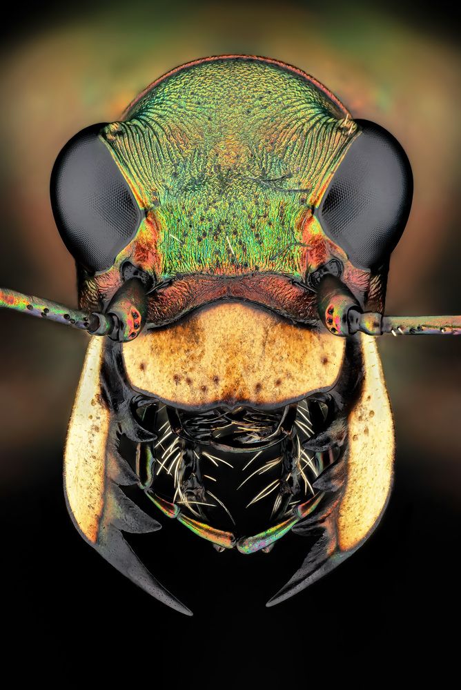 Photograph by Rastislav Borovsky