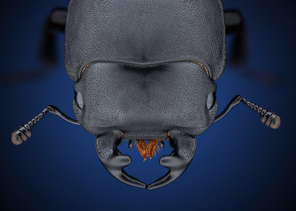 Photograph by Rastislav Borovsky