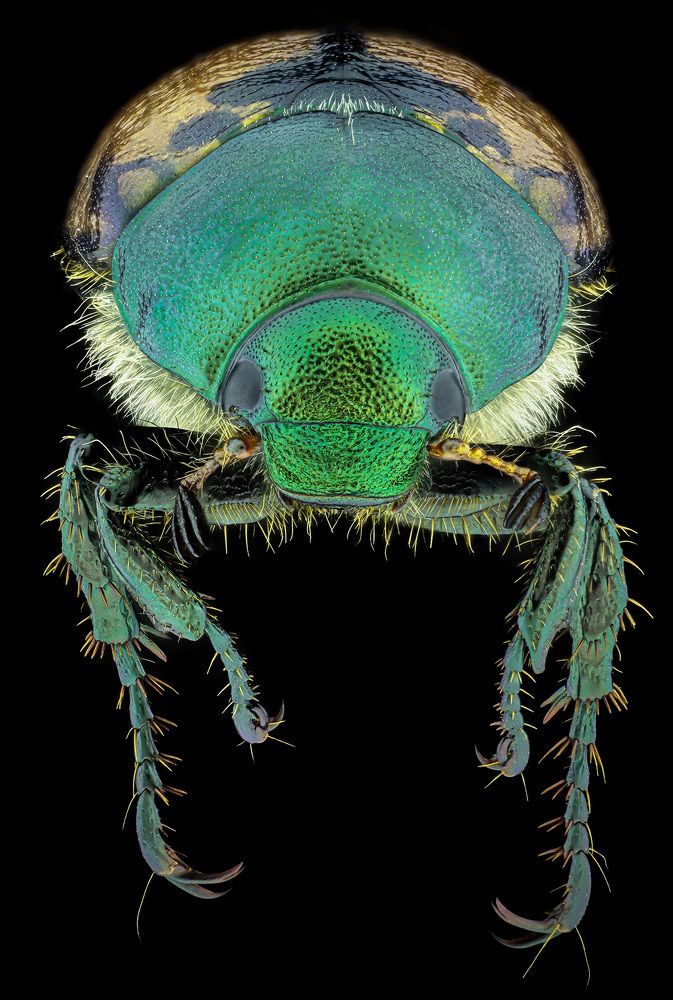 Photograph by Rastislav Borovsky