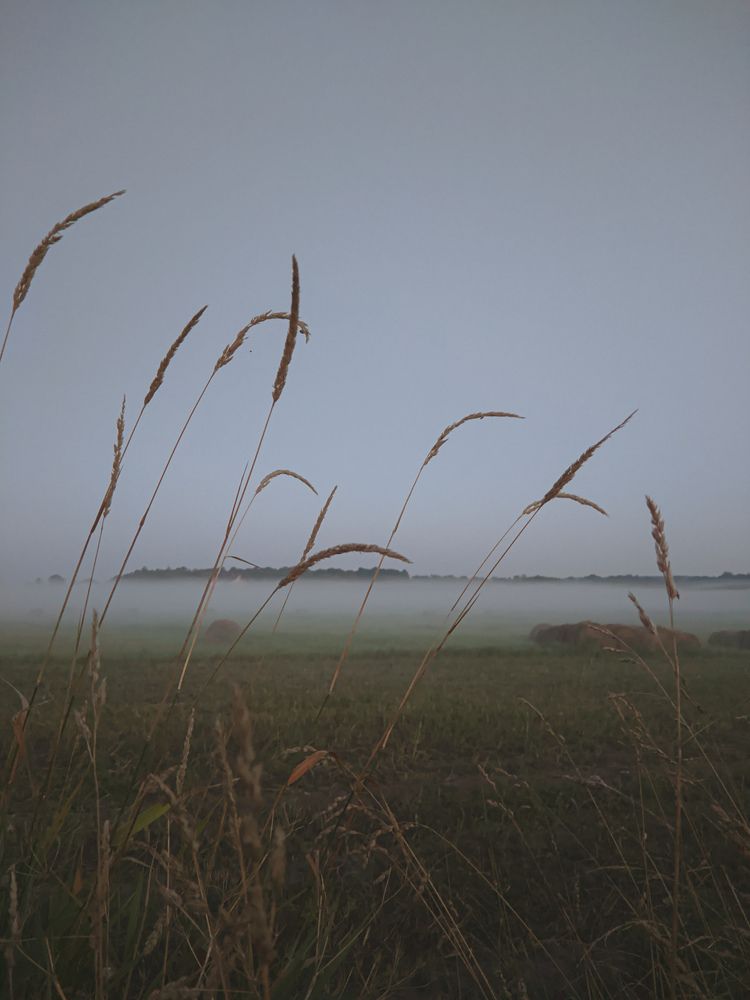 Фотография автора Олеся