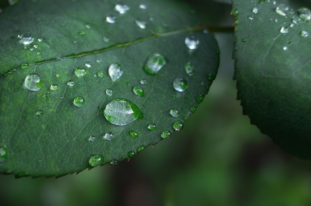 Photograph by Максим Гусаров