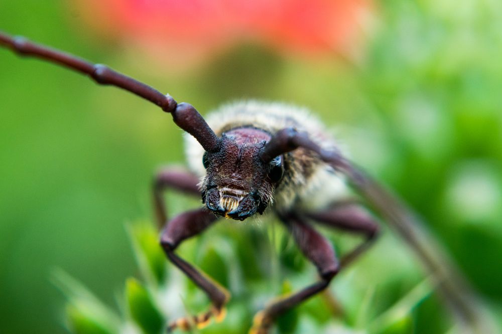 Фотография автора Jose Marcos Carvajal Tarazona