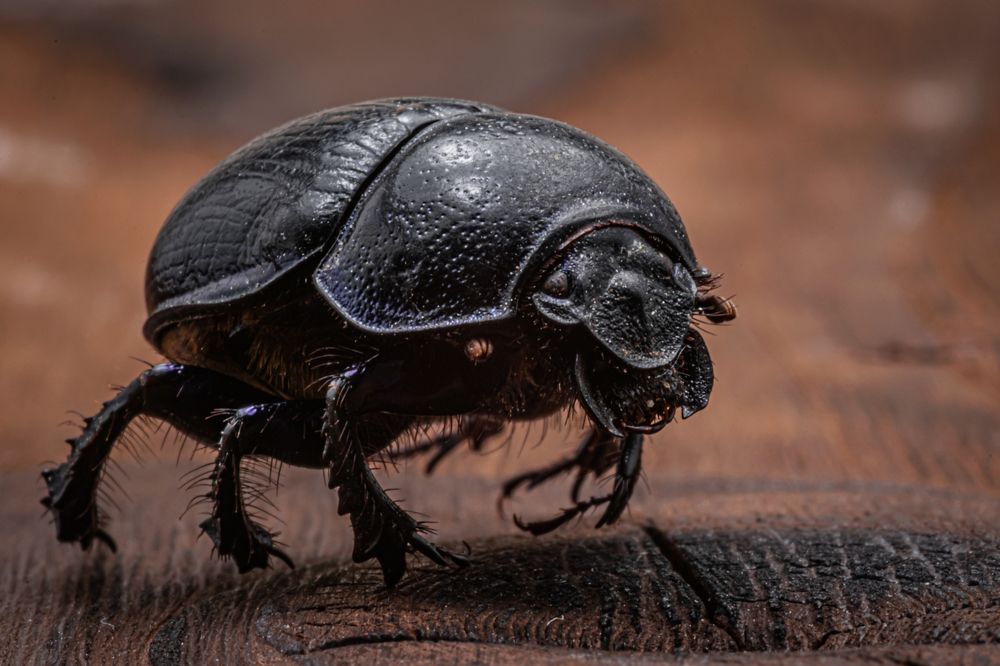 Photograph by Третьяков Александр