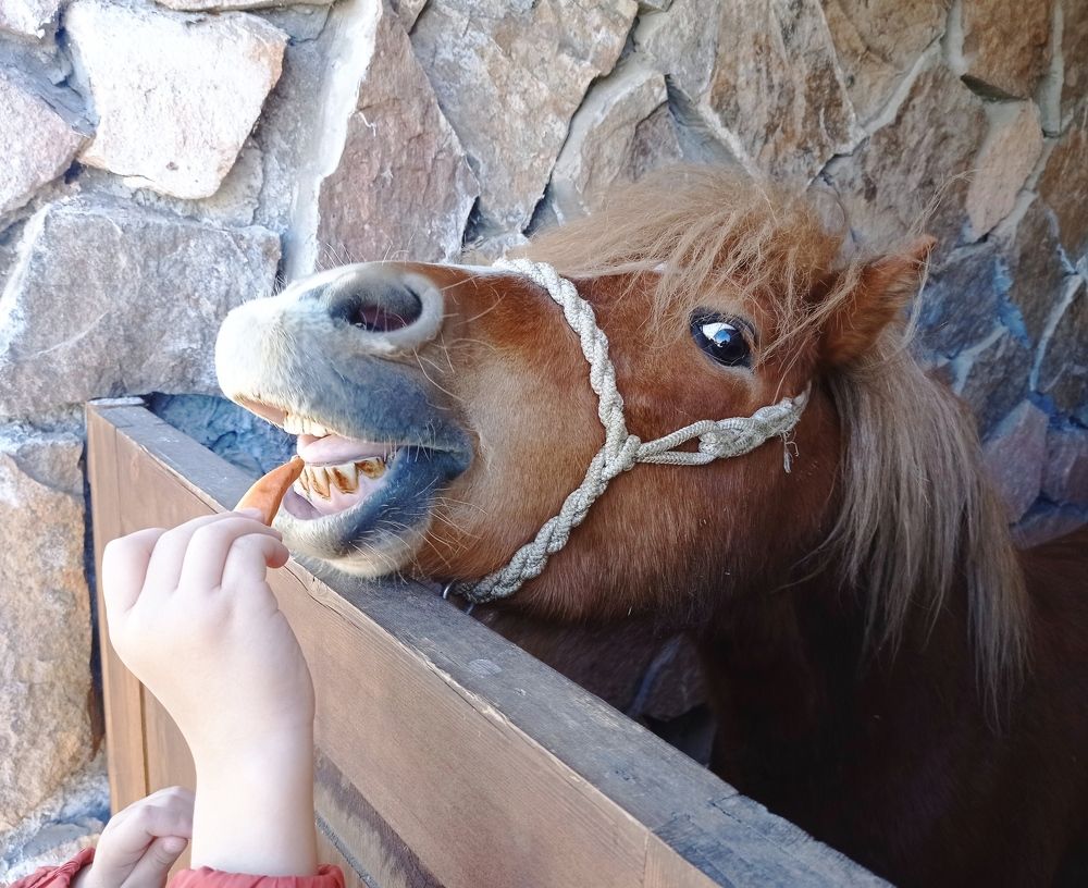 Вкусный перекус.