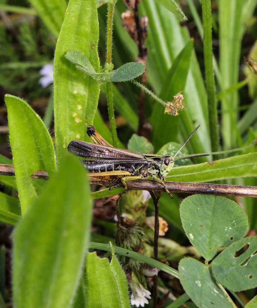 Photograph by Лилия Васильева