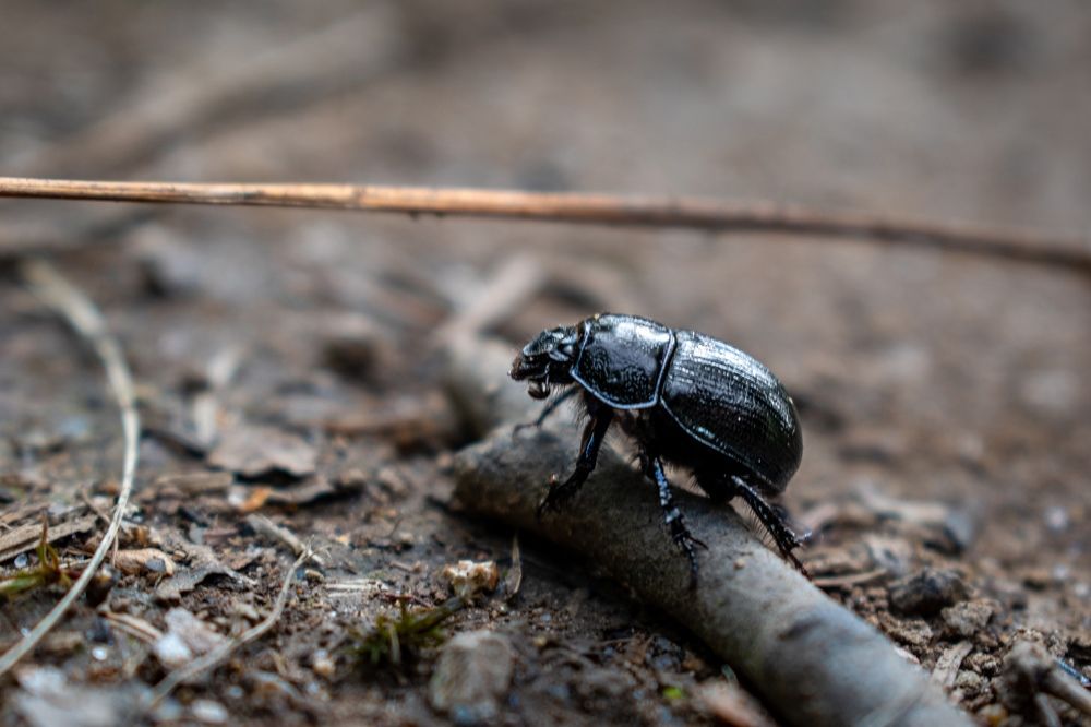 Photograph by Артем Штылев