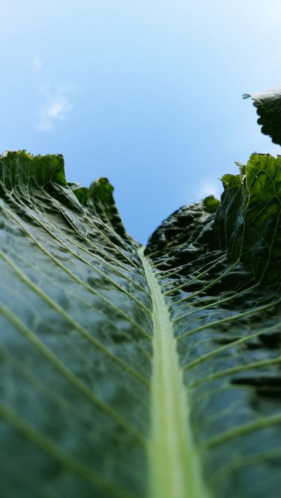 Photograph by Ирина Алпацкая