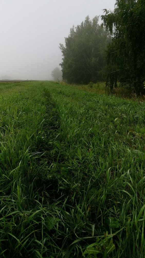 Photograph by Ирина Алпацкая