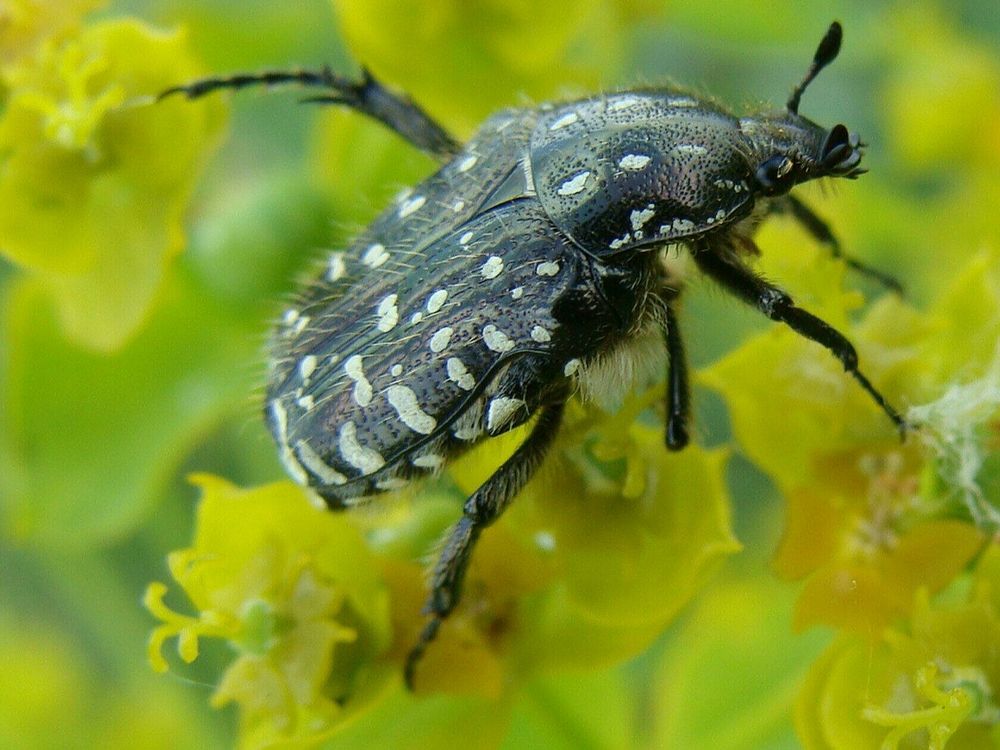 Фотография автора Павел Попов