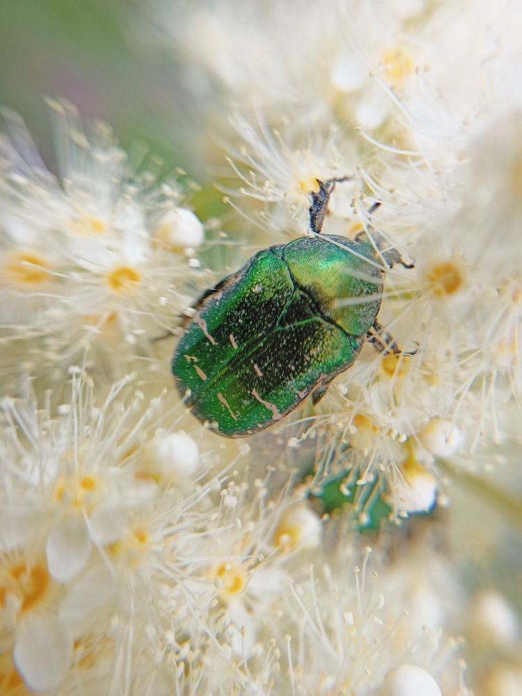 Фотография автора Татьяна Шахова