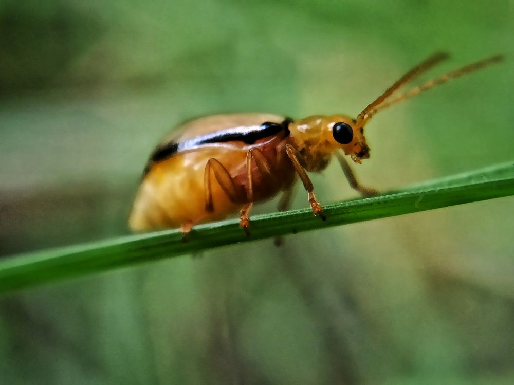 Photograph by Tariq amin Mansuri