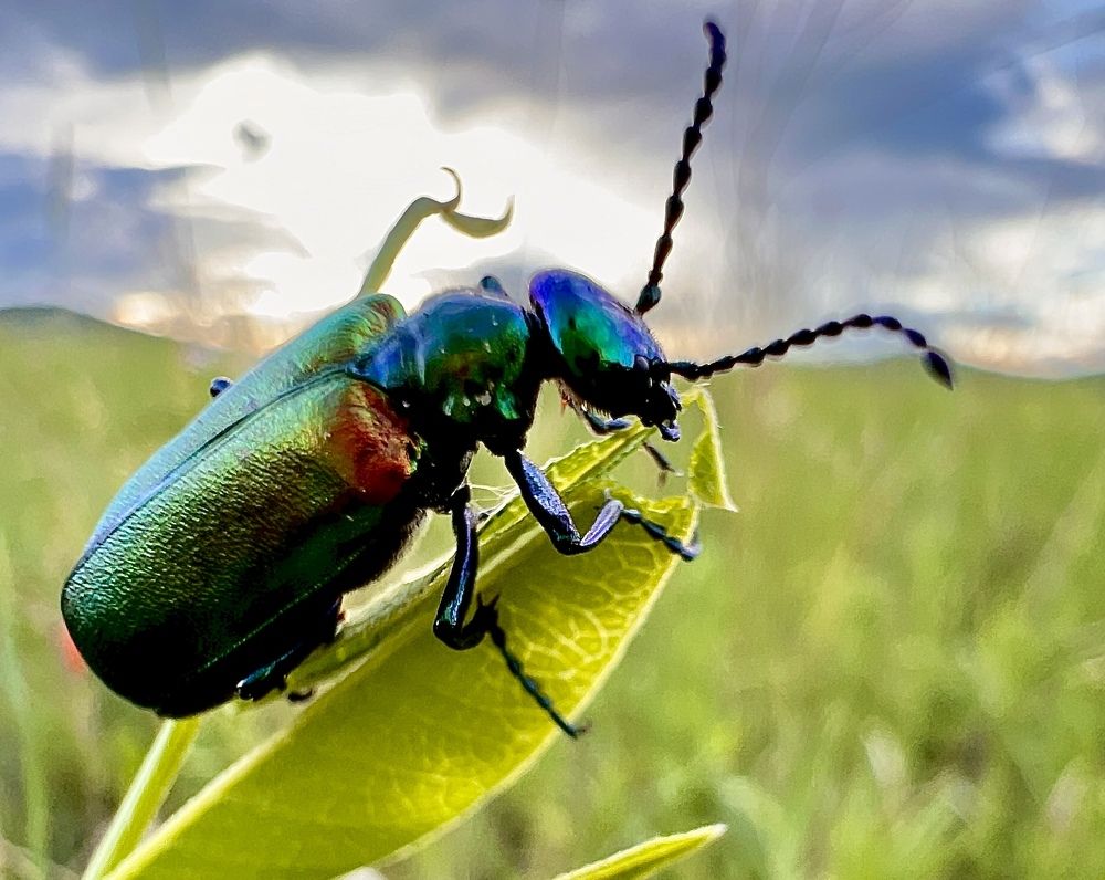 Photograph by Елена Мизина