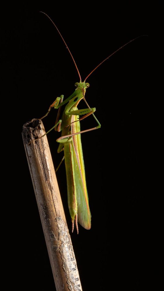 Photograph by Виталий Бодрягин